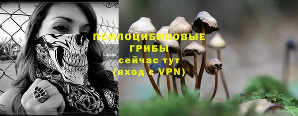 прущий лед Михайлов