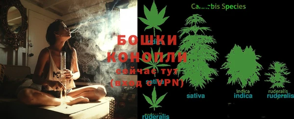 прущий лед Михайлов