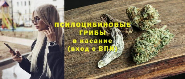 прущий лед Михайлов