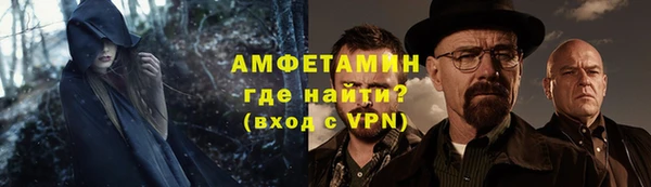 шишки Михайловск