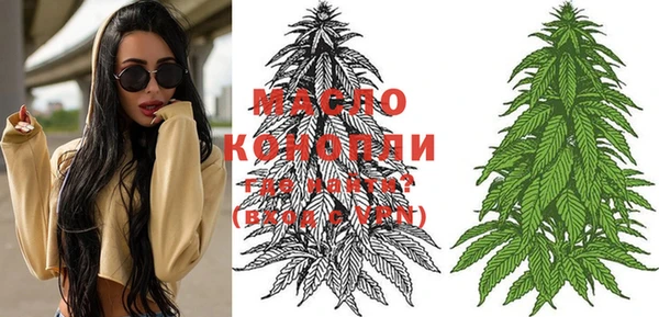 прущий лед Михайлов