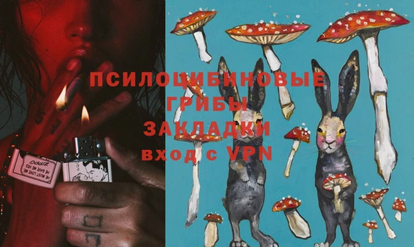 прущий лед Михайлов
