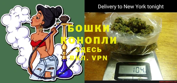 шишки Михайловск