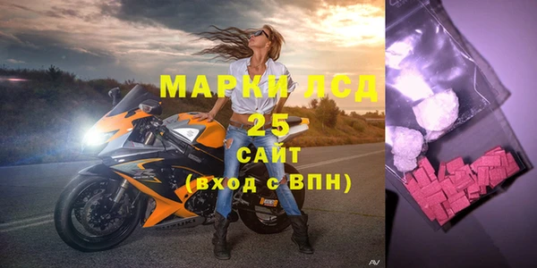 шишки Михайловск