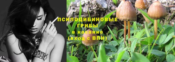 прущий лед Михайлов