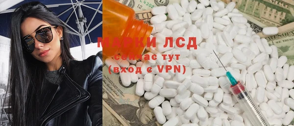 шишки Михайловск
