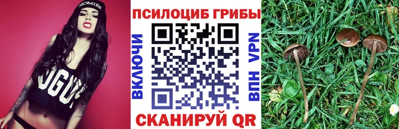 Псилоцибиновые грибы Psilocybine cubensis  Купить где  Анива 